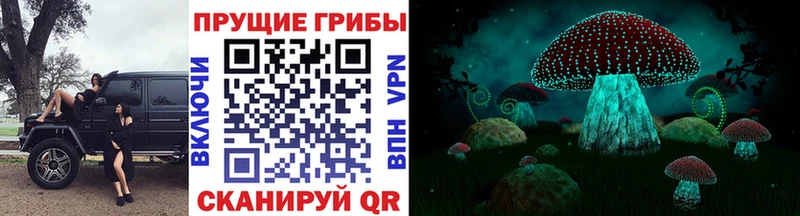 Псилоцибиновые грибы Cubensis  мориарти состав  Долинск 